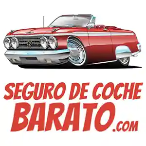 seguro de coche barato